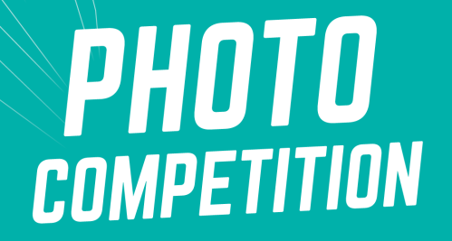 now be the winner white